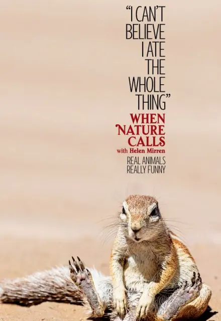 What the fauna??!?!?!