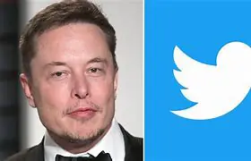 A Musky Stench In the Aviary