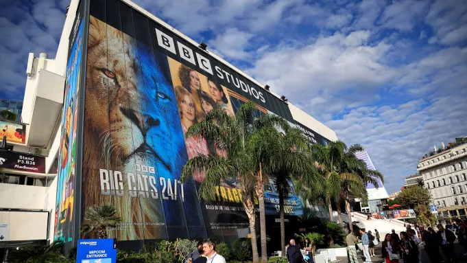 A Lukewarm Adieu To Automne In Cannes